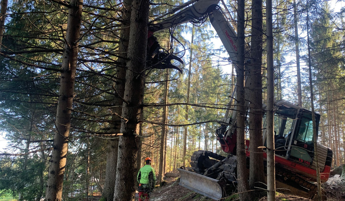 Bagger11